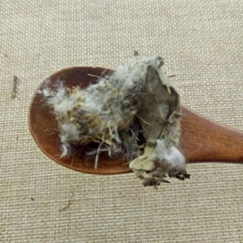 大蓟草大蓟碳产地直发货好各种炮制药材