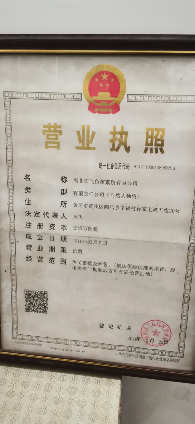 自产自销，白鲢水花，夏花，寸片，乌子，各种规格都有