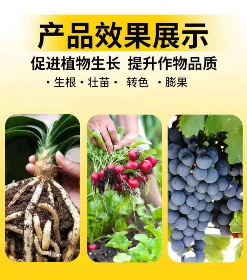 矿源黄腐酸钾易吸收、厂家直销