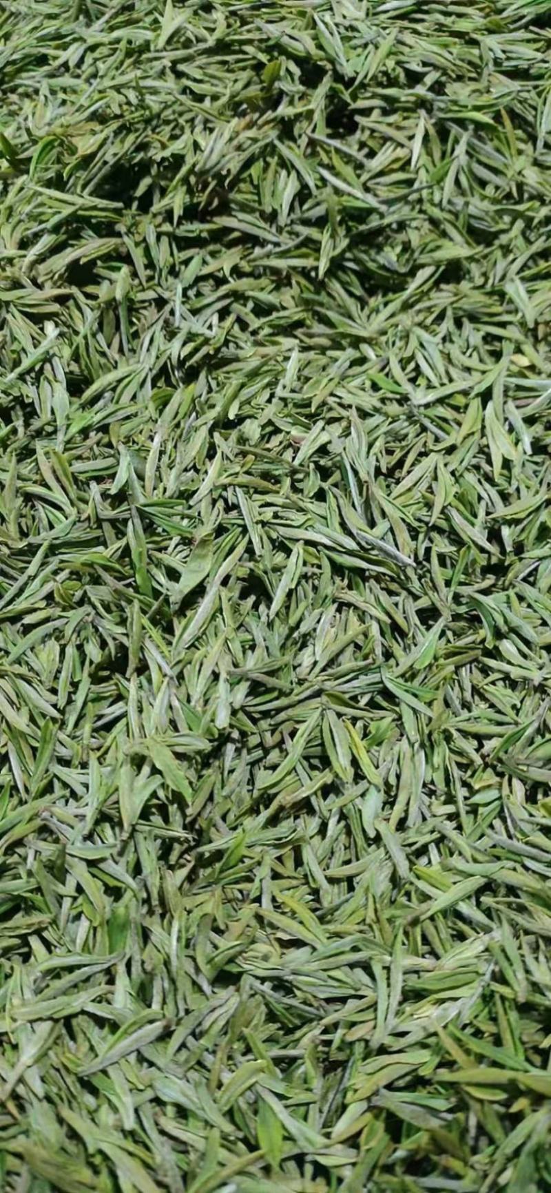 长年供牛蒡产品以及安吉白茶