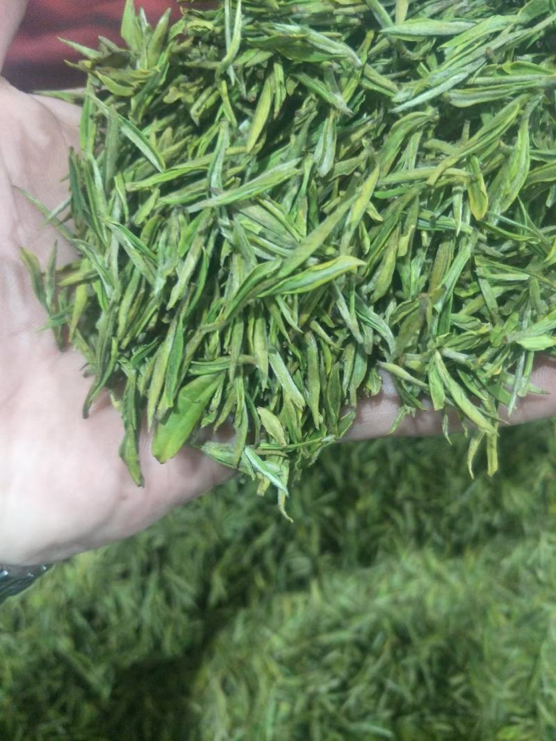 长年供牛蒡产品以及安吉白茶