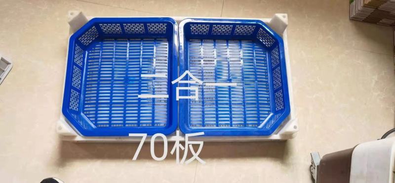 【荐】桑葚，现摘现发全程冷链，凉山州德昌县桑葚一手货源