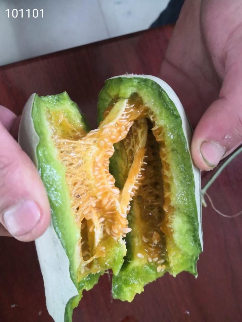 羊角蜜甜瓜（山东甜瓜）产地直供一手货源脆甜多汁