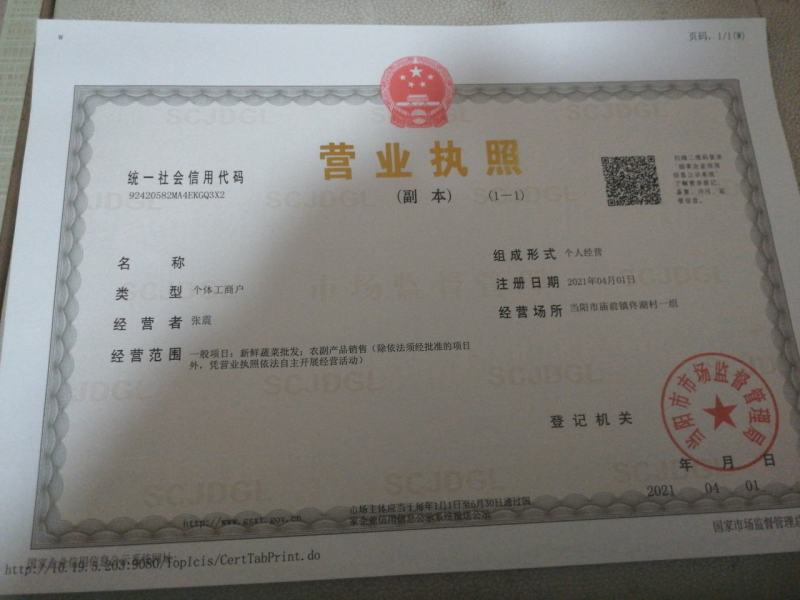 牛心甘兰0.5~1公斤，大量上市现砍现装