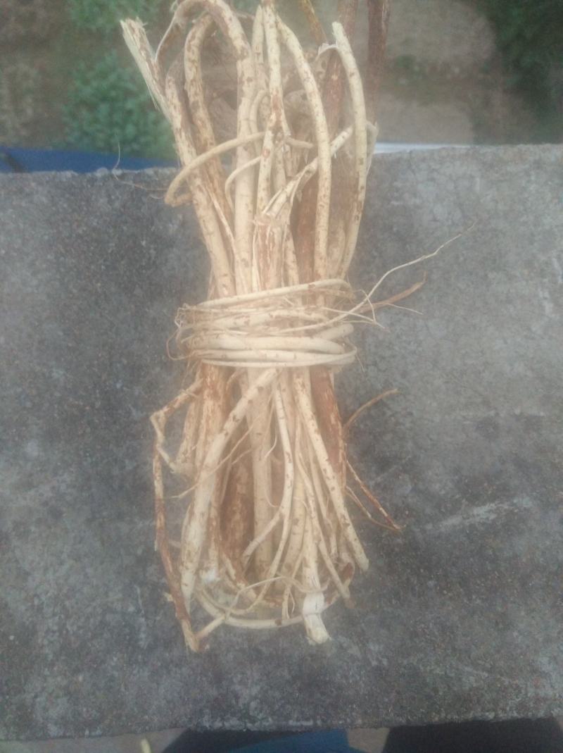 小扎把广西大山中草药野生五指毛桃小扎把，日晒足干香味好