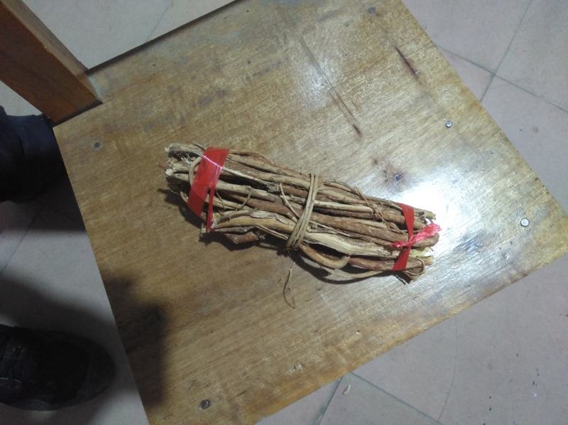 小扎把广西大山中草药野生五指毛桃小扎把，日晒足干香味好