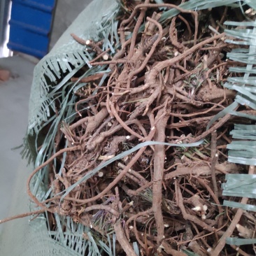 柴胡通货含量高质优价廉