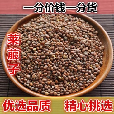 莱菔子萝卜子产地山东货好代抓各种药方