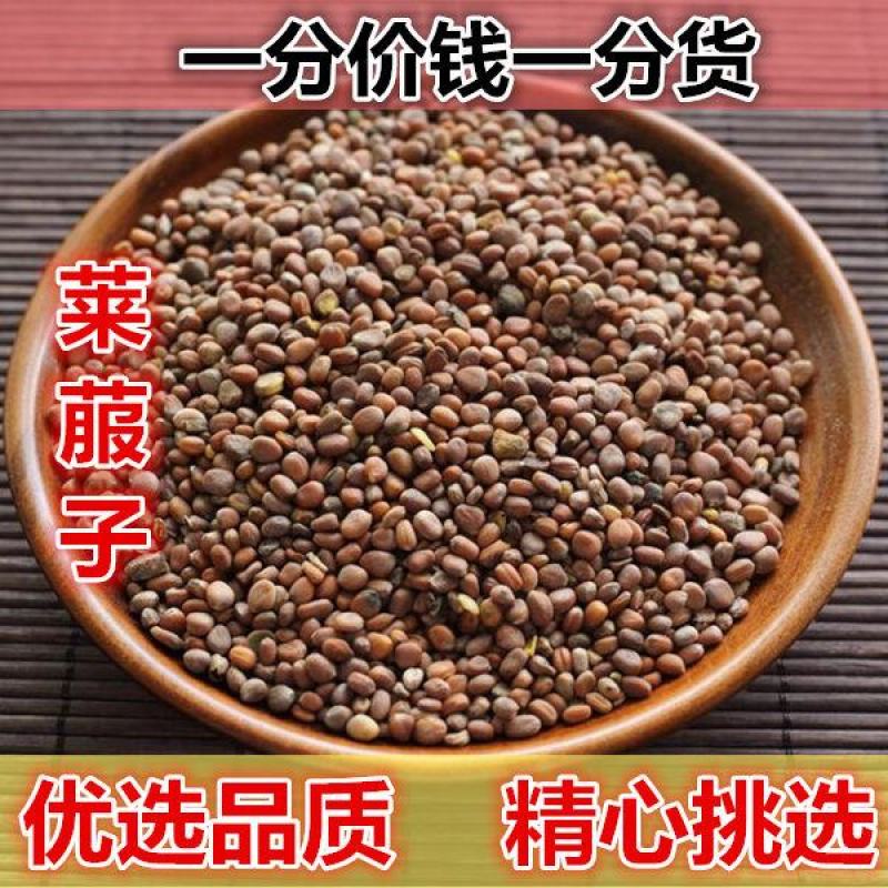 莱菔子萝卜子产地山东货好代抓各种药方