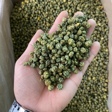 花茶胎菊王胎菊米清热凉火