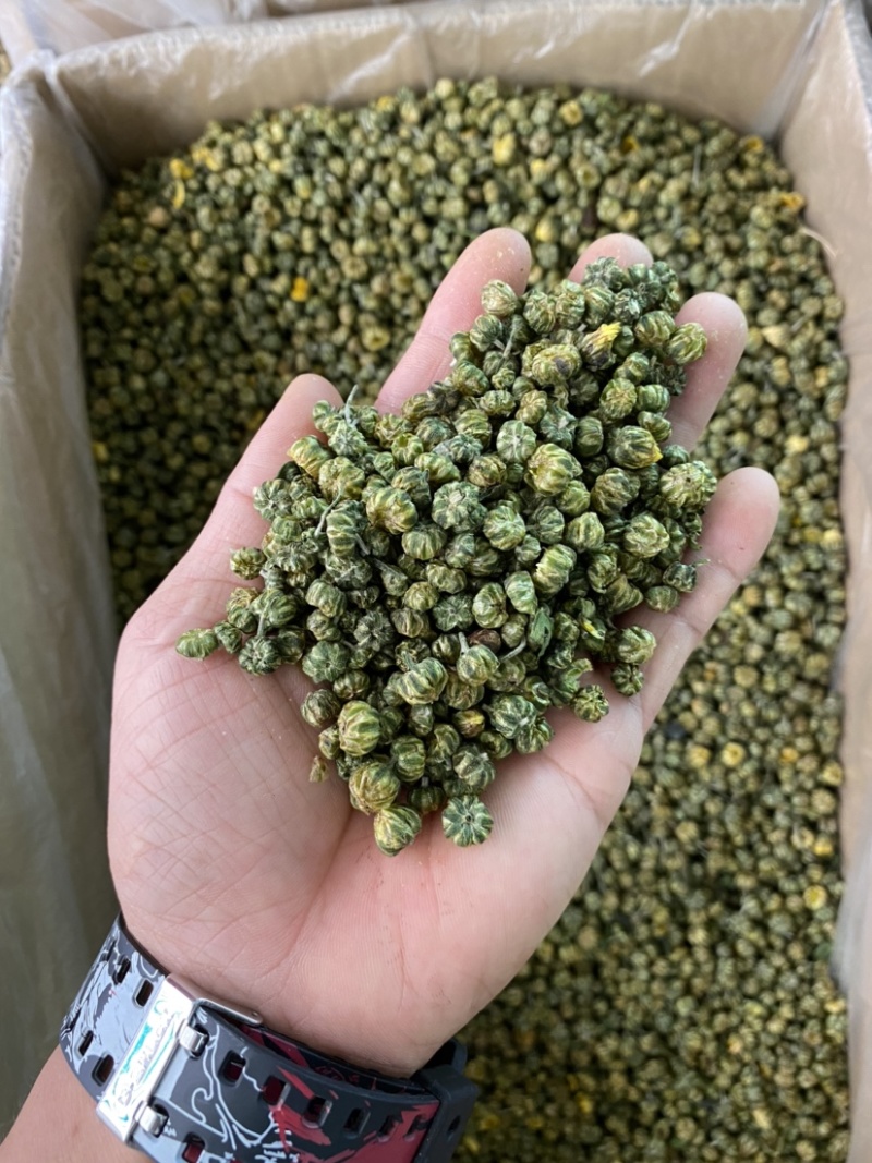 花茶胎菊王胎菊米清热凉火
