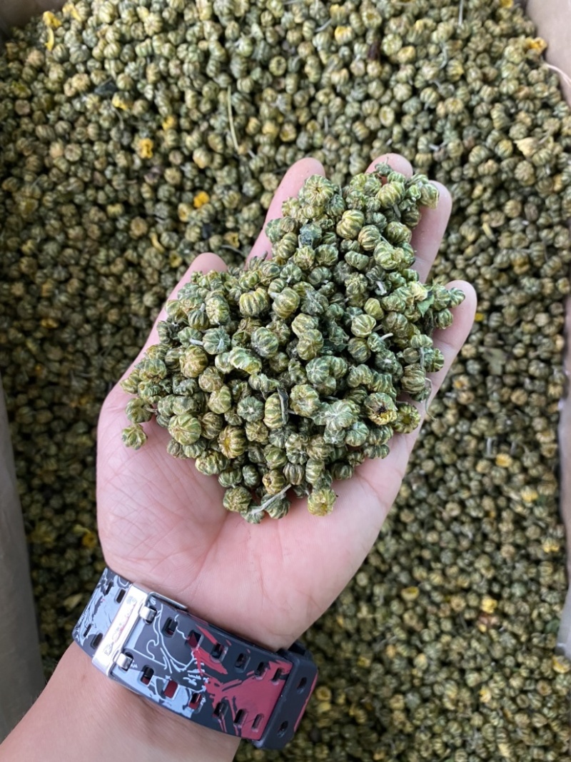 花茶胎菊王胎菊米清热凉火