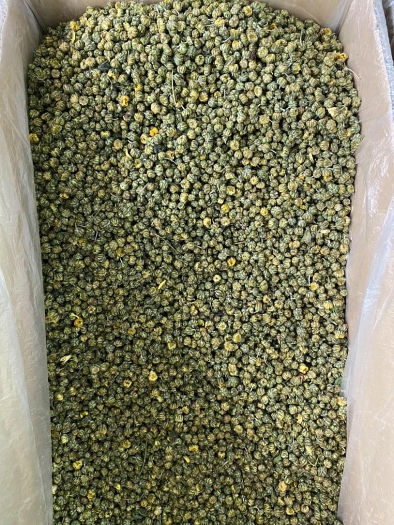 花茶胎菊王胎菊米清热凉火