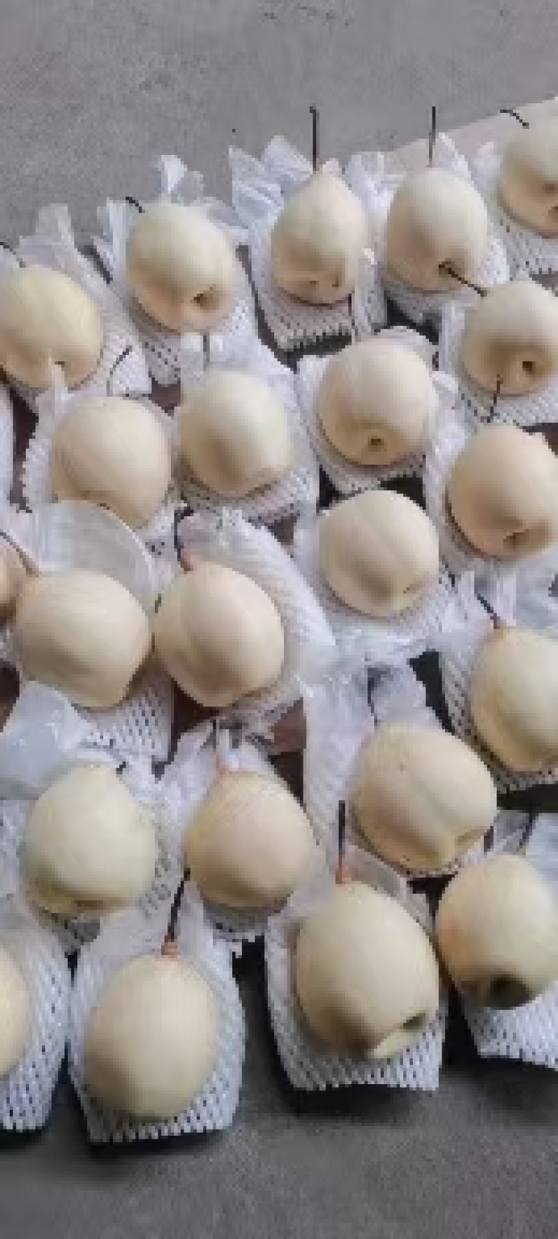 水晶鸭梨口感好，果面干净产地直发精选好果诚信经营