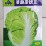 抗热夏播白菜种子超夏阳青岛夏优王早熟50天上市白菜种子