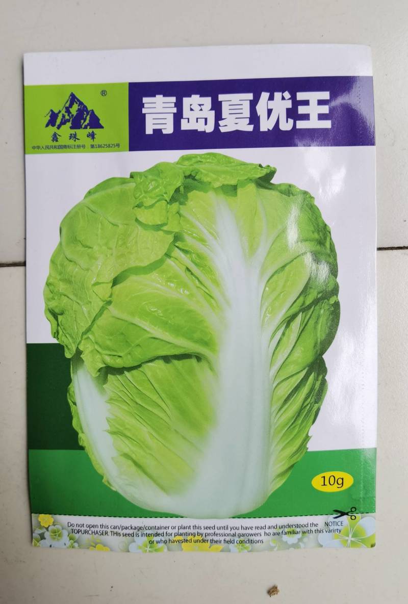 抗热夏播白菜种子超夏阳青岛夏优王早熟50天上市白菜种子