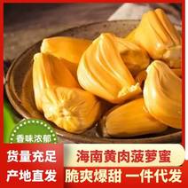 海南菠萝蜜包邮三亚青皮菠萝蜜干苞黄肉菠萝蜜一件代发招代理