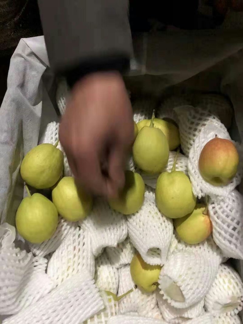 库尔勒香梨大量供应礼品盒装大量现货口感超级好