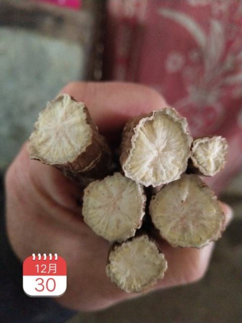 赤芍种苗（赤峰金宝来合作社）