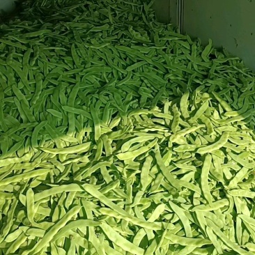 蔬菜豆类扁青芸豆赶集货