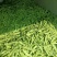蔬菜豆类扁青芸豆赶集货