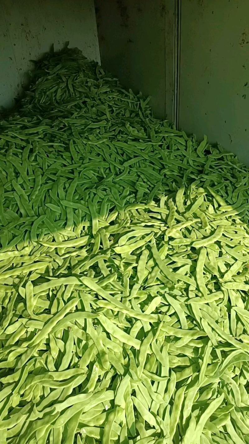 蔬菜豆类扁青芸豆赶集货