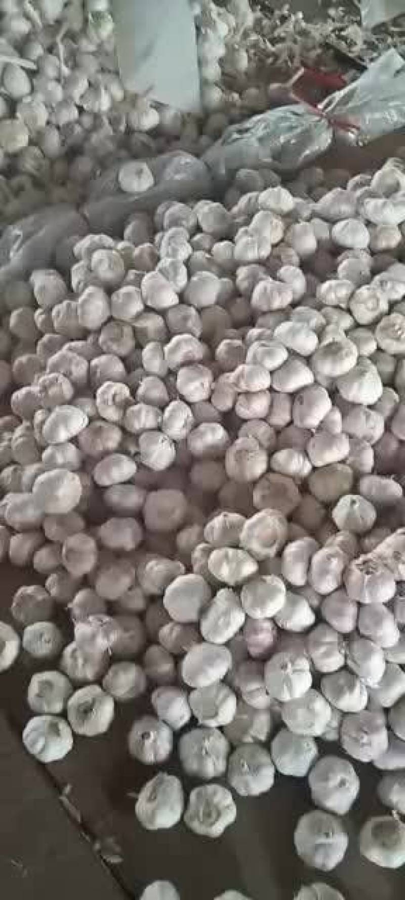 金乡大蒜300g包装产地直发供应生鲜超市社区团购