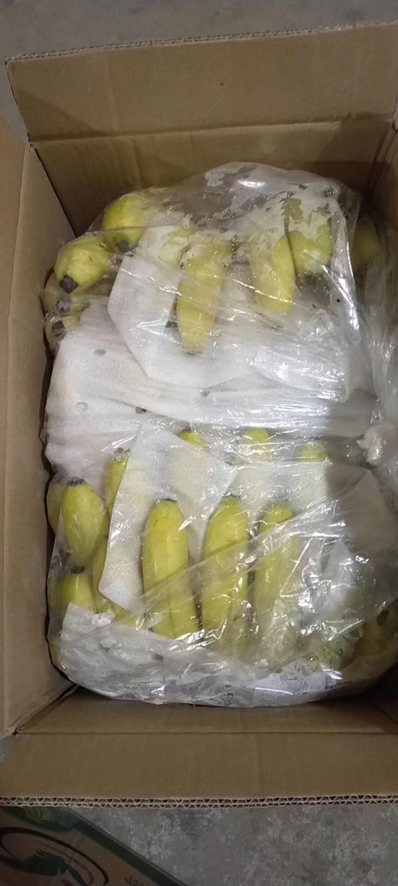 大量生熟香蕉批发广西广东香蕉云南海南香蕉