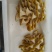 鸡油菌，新鲜鸡油黄菌，特菜，鲜货，火锅搭档