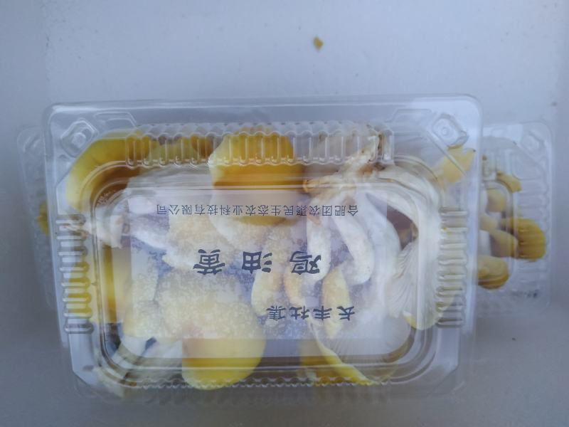 鸡油菌，新鲜鸡油黄菌，特菜，鲜货，火锅搭档