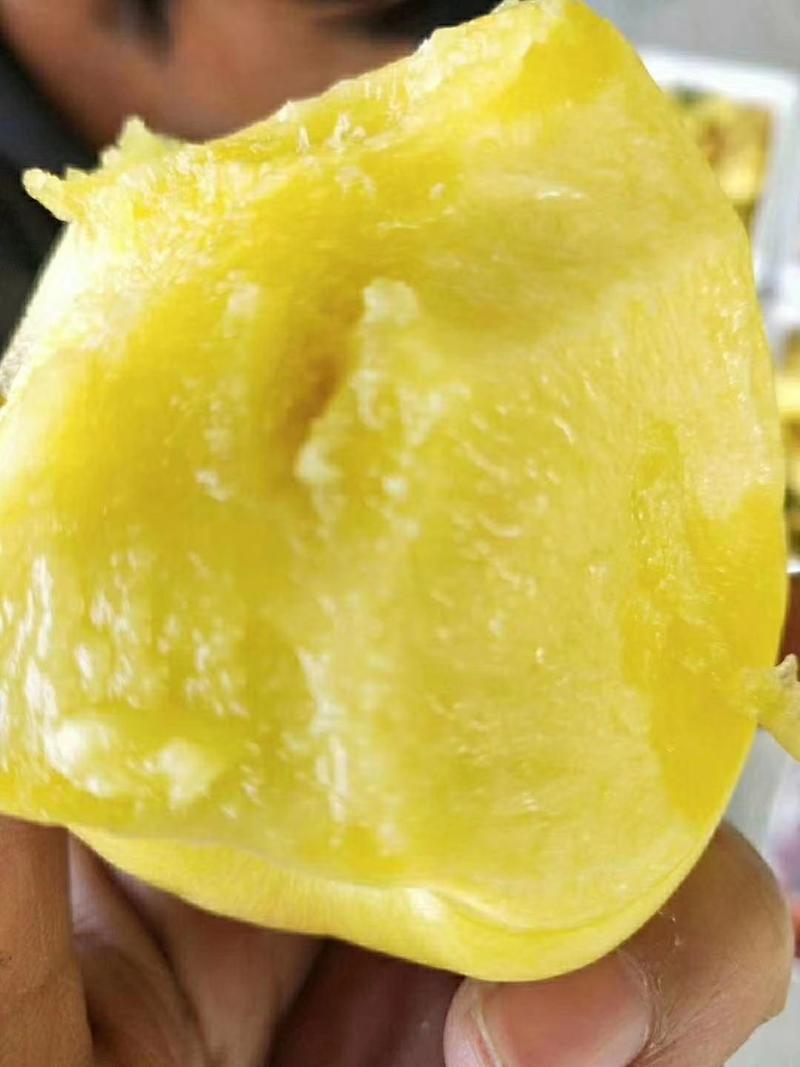 黄油桃新鲜采摘上市了，口感好表光好全国可代发