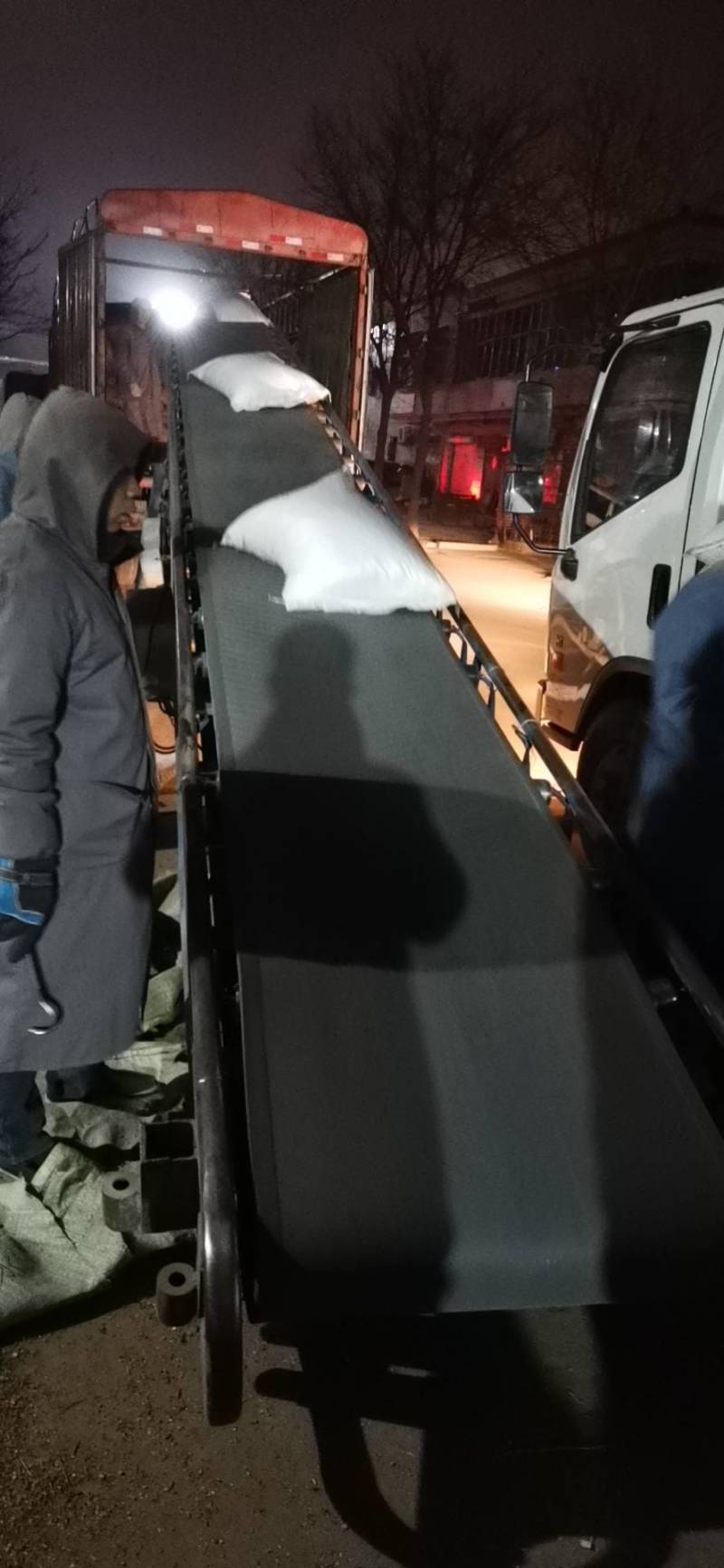 河北自产自销高产量抗病毒低风险半夏种苗