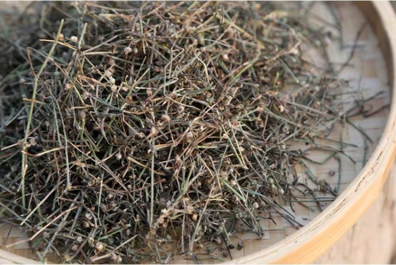 白花蛇舌草白花蛇草天然蛇舌草可搭配半枝莲