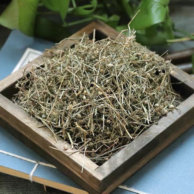 白花蛇舌草白花蛇草天然蛇舌草可搭配半枝莲