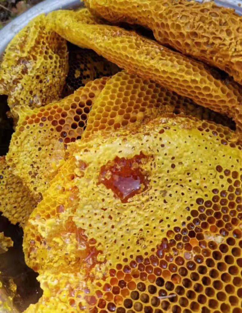 正宗深山野生土蜂蜜，可长期合作，假一赔十。