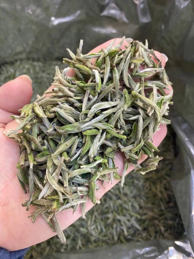 白亳银针2025头春首采福鼎白茶高山花香冰糖甜500g