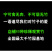 琴丝竹金玉满堂黄金间碧竹子君观赏竹苗庭院室内绿