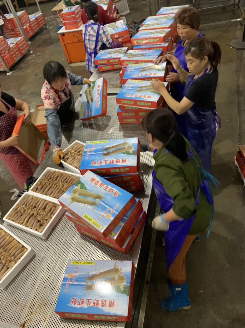 皮皮虾常年供应鲜活虾婆熟冻全母带膏全公