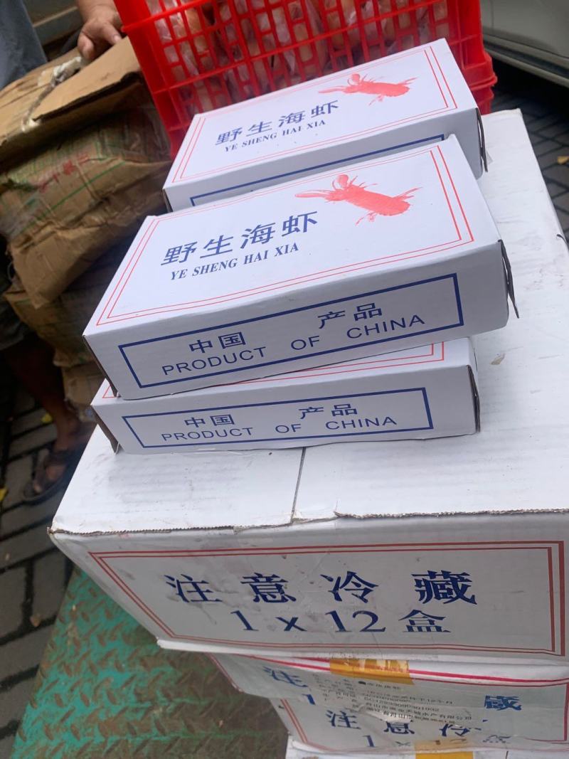 可送上海国产皮皮虾，面包蟹，阿根廷红虾供应，码头直发