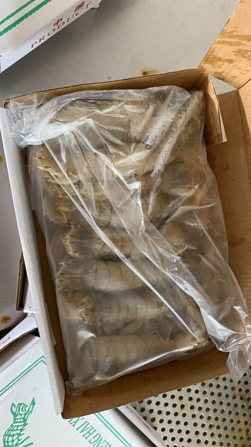 可送上海国产皮皮虾，面包蟹，阿根廷红虾供应，码头直发