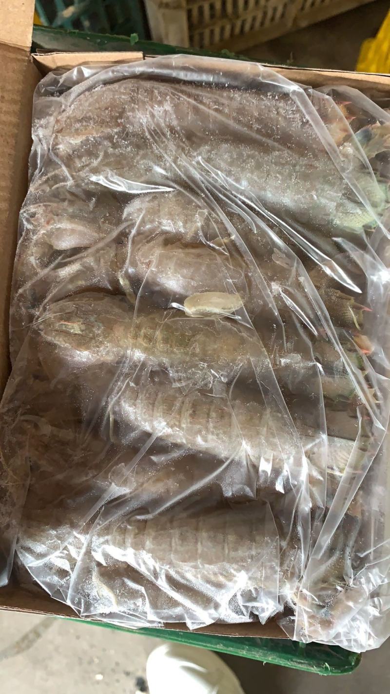 可送上海国产皮皮虾，面包蟹，阿根廷红虾供应，码头直发