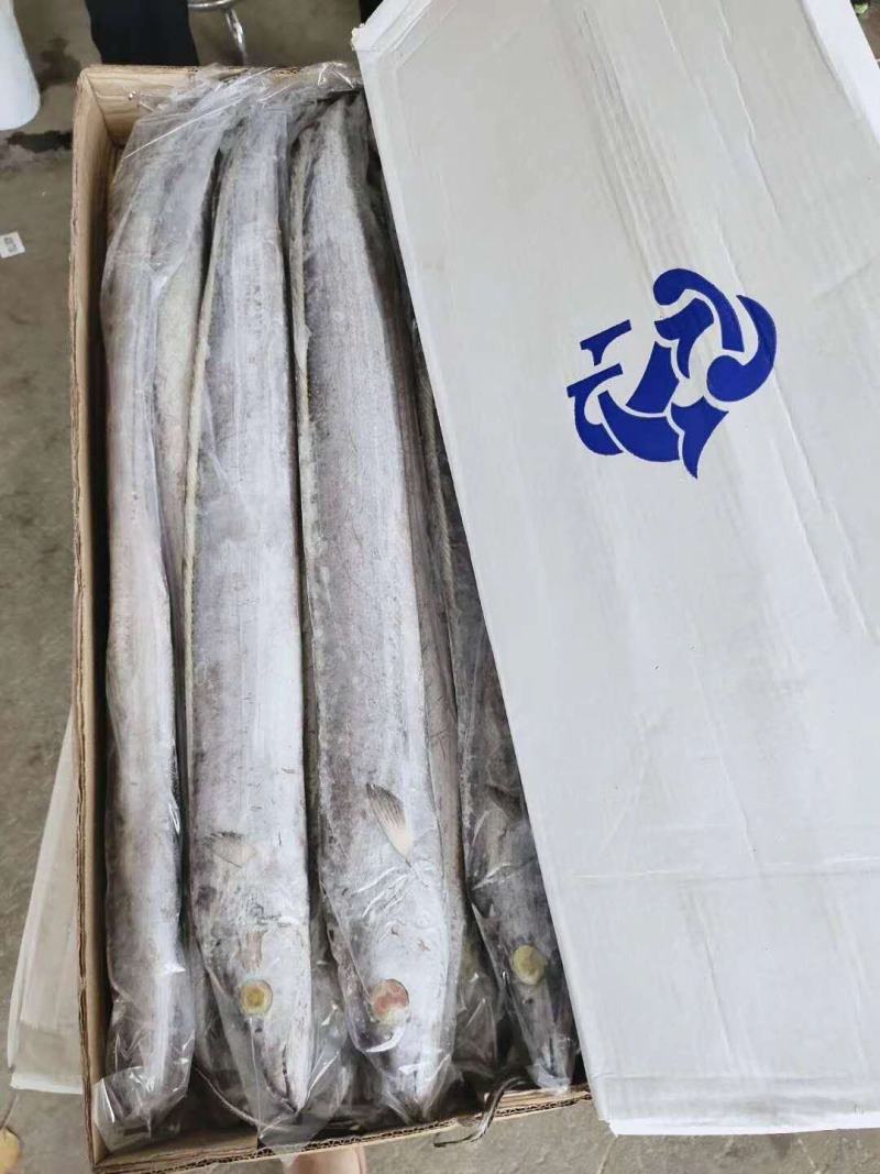 东海小眼带鱼，工厂直发，价格美丽，一件代发