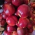【油桃黄油桃大量上市，现摘现发量大质优可发往全国
