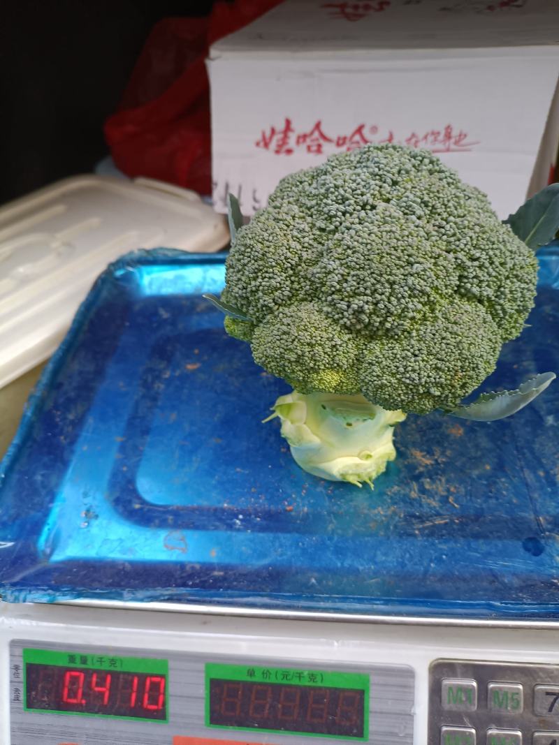 云南西兰花，产地直销，现货供应！