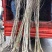 密胡杨基地大量出售甘肃酒泉货源