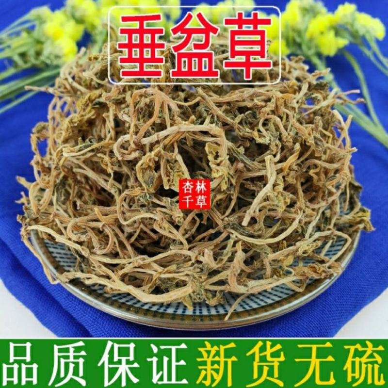 云南野生中药材垂盆草新货垂盆草散装包邮