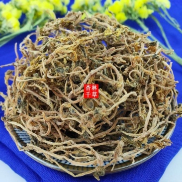 云南野生中药材垂盆草新货垂盆草散装包邮