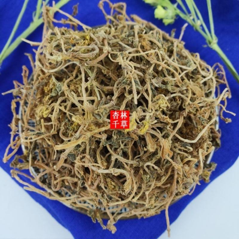云南野生中药材垂盆草新货垂盆草散装包邮