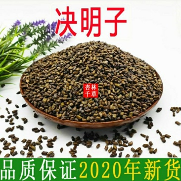 生决明子中药材决明子草决明生决明子散装包邮