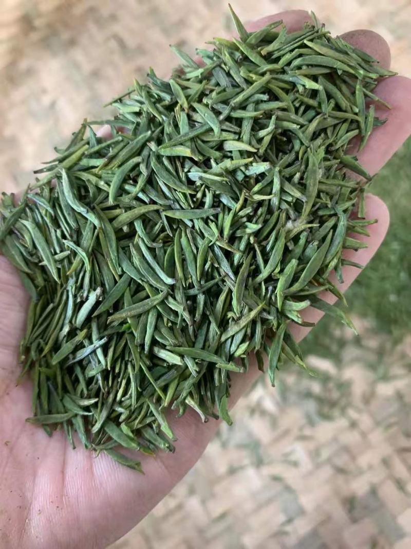 茶叶，2021四川明前新茶，